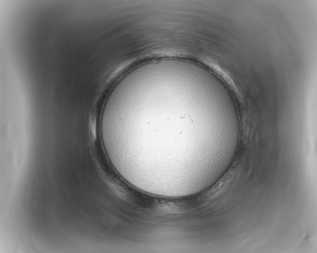 X0000116150062200911301549