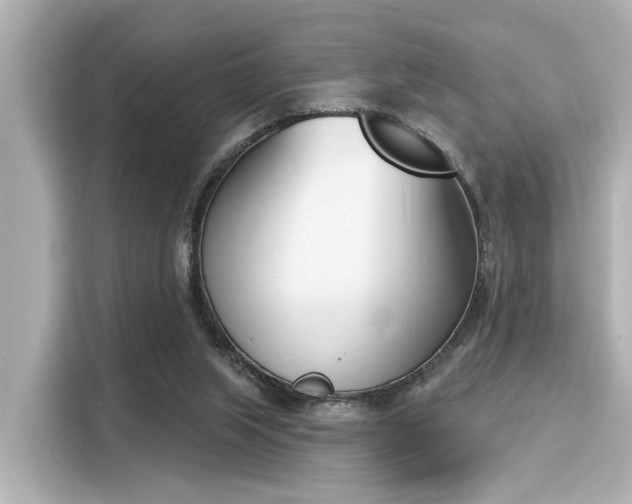 X0000116150063200911301549