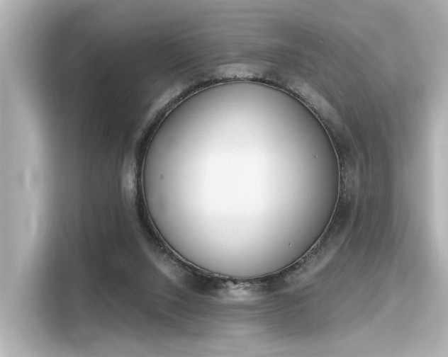 X0000116150064200911301549