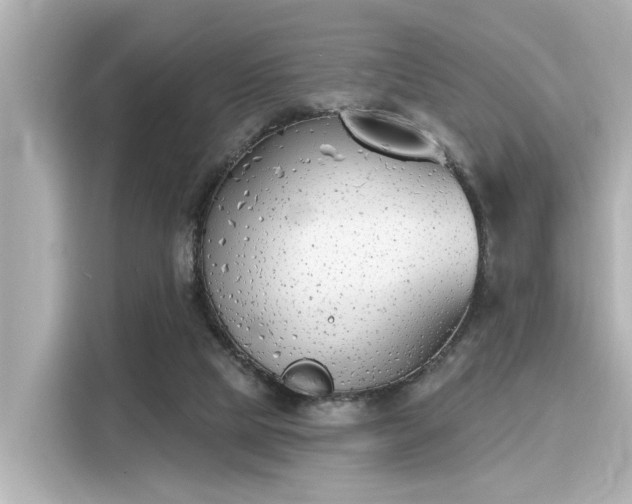 X0000116150065200911301549