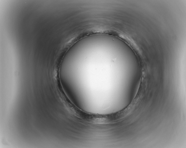 X0000116150066200911301549