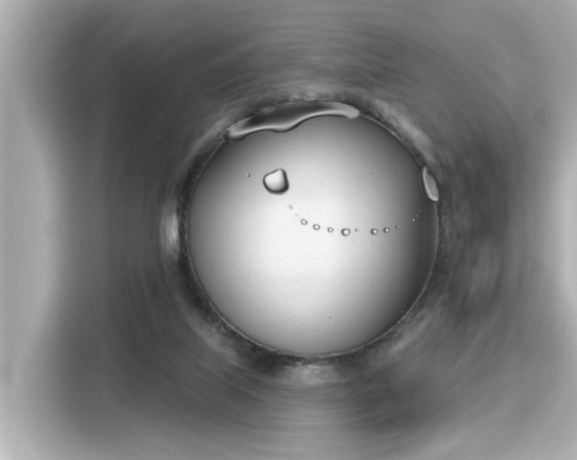 X0000116150067200911301549