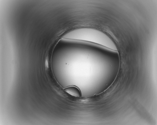 X0000116150068200911301549