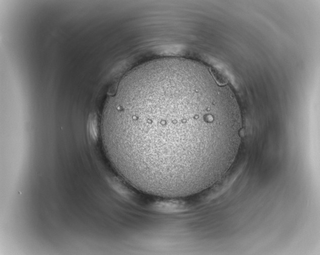 X0000116150069200911301549