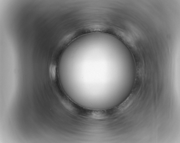 X0000116150070200911301549