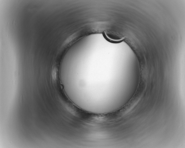 X0000116150071200911301549