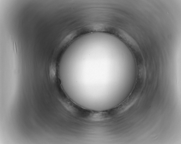 X0000116150072200911301549