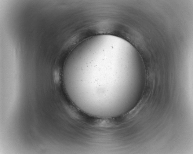 X0000116150074200911301549