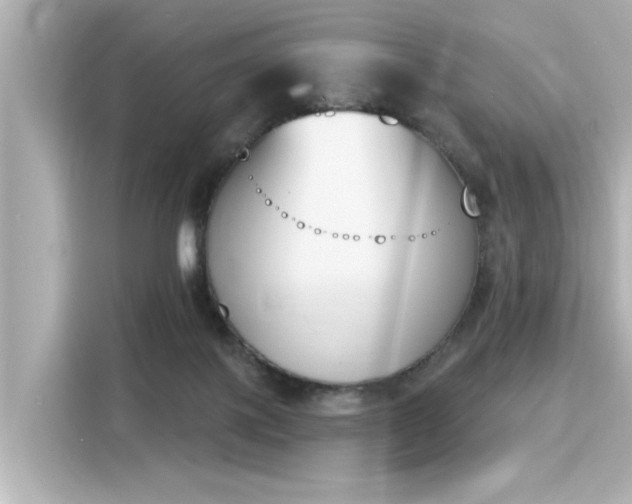 X0000116150075200911301549