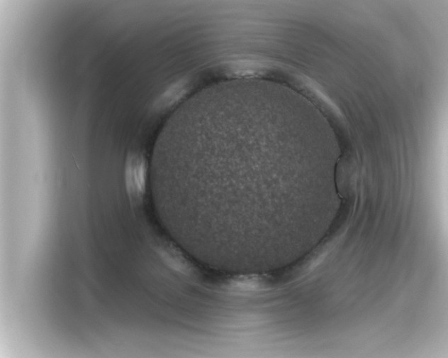 X0000116150076200911301549