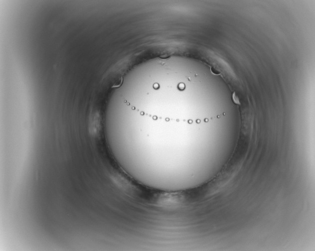 X0000116150077200911301549