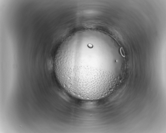 X0000116150081200911301549