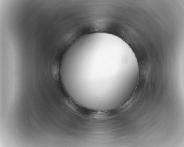 X0000116150082200911301549