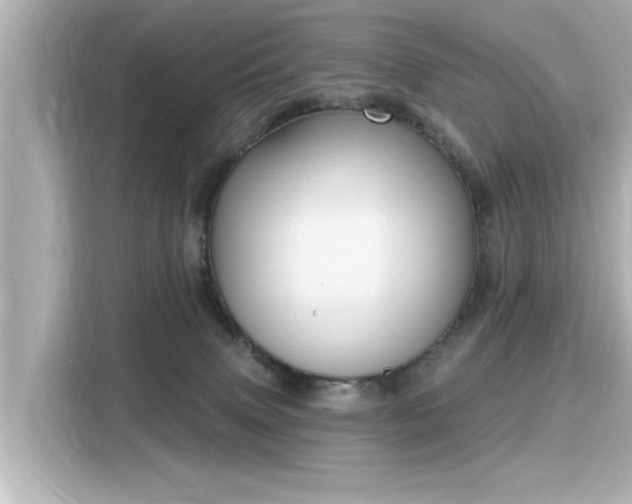 X0000116150083200911301549