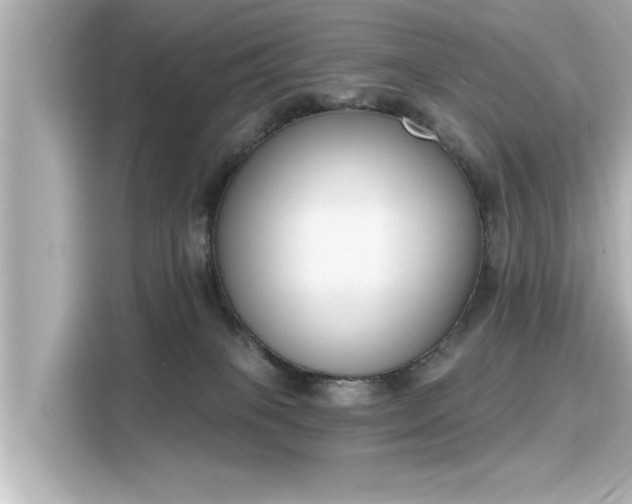 X0000116150085200911301549