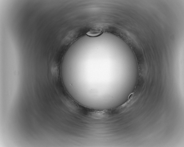 X0000116150086200911301549