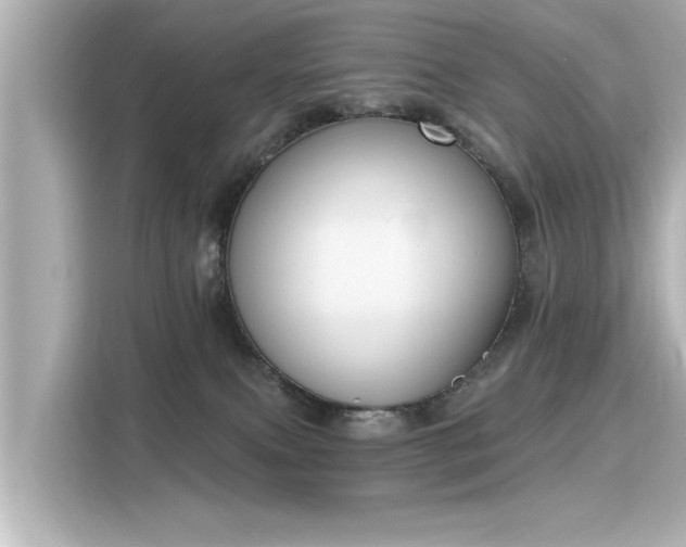 X0000116150087200911301549