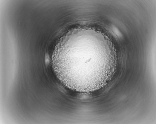 X0000116150089200911301549