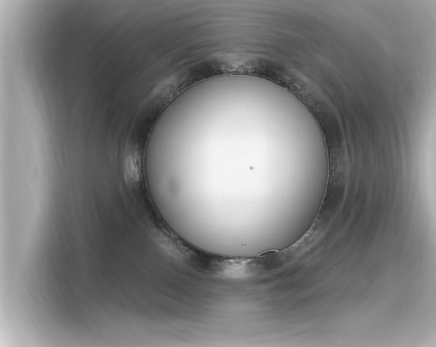 X0000116150090200911301549