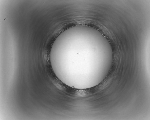 X0000116150091200911301549