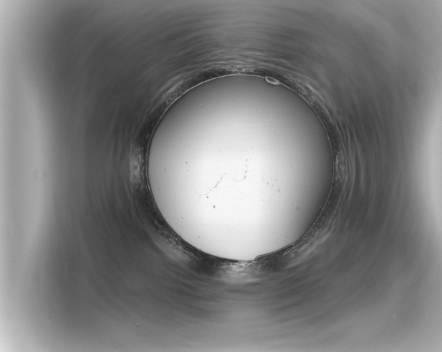 X0000116150092200911301549