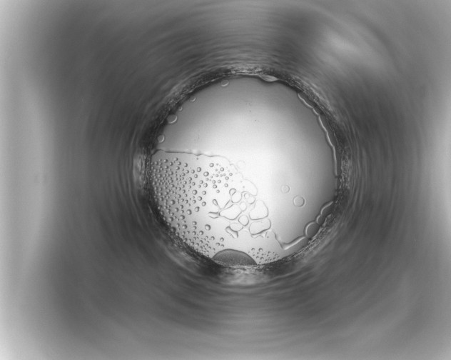 X0000116150093200911301549