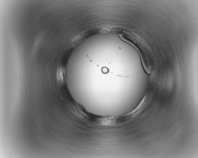 X0000116150094200911301549