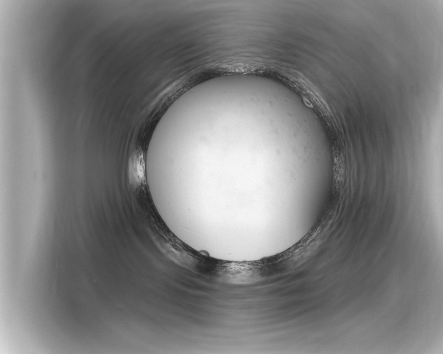 X0000116150095200911301549