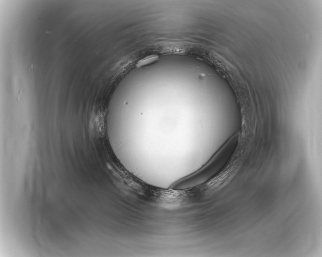 X0000116150096200911301549