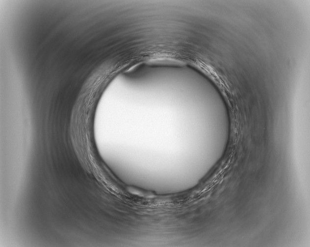 X0000116150097200911301549