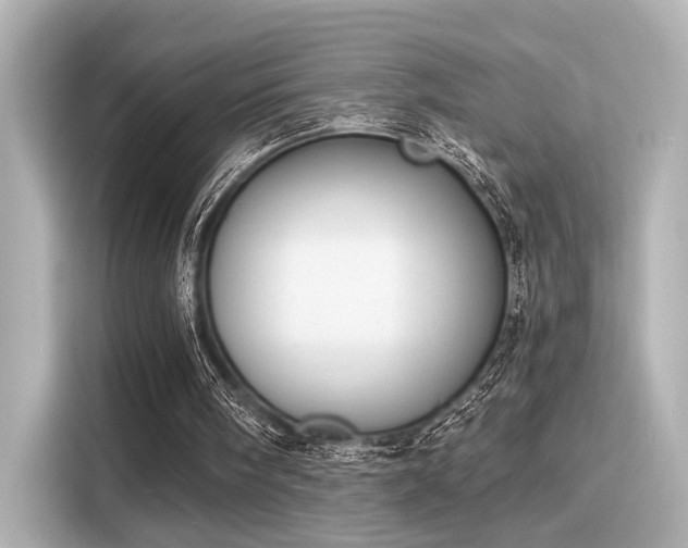 X0000116150098200911301549