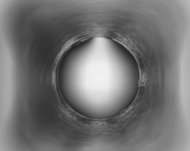 X0000116150099200911301549