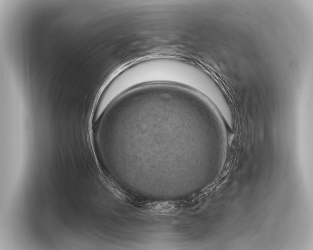 X0000116150100200911301549