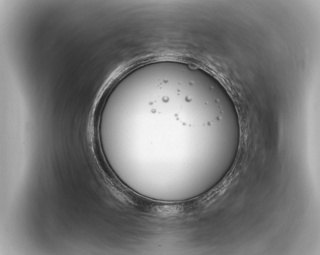 X0000116150102200911301549