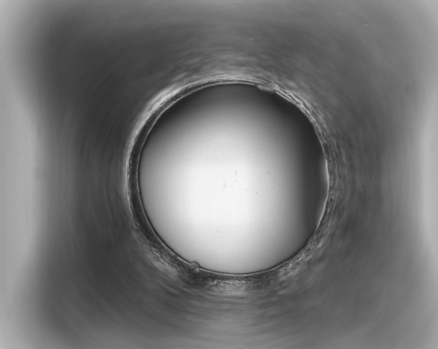 X0000116150104200911301549