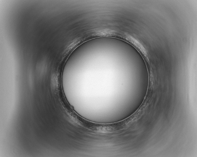 X0000116150105200911301549