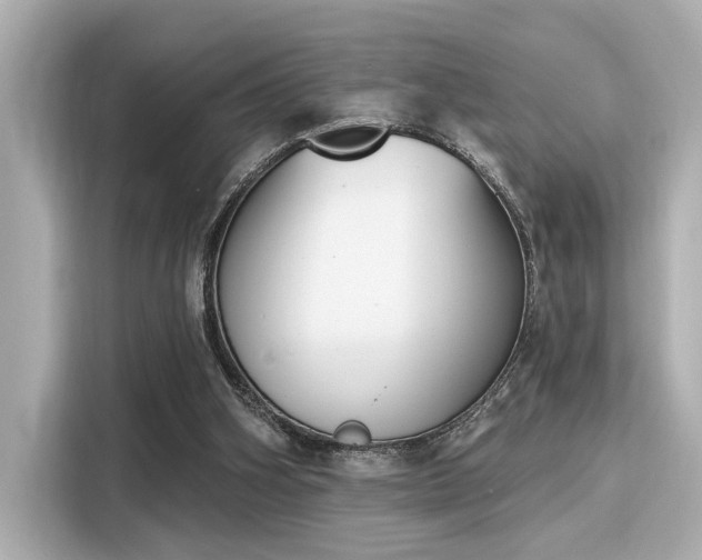 X0000116150106200911301549