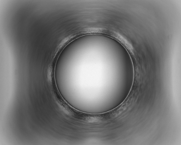 X0000116150107200911301549