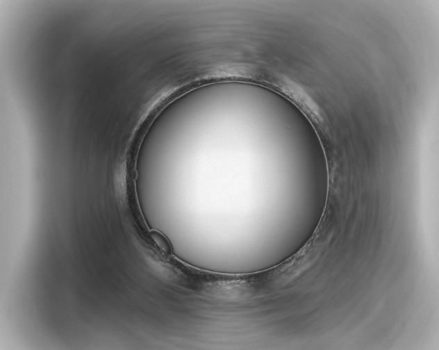 X0000116150108200911301549