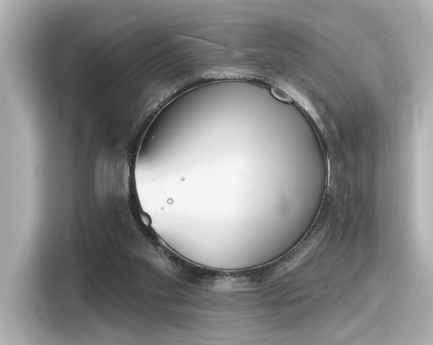 X0000116150109200911301549