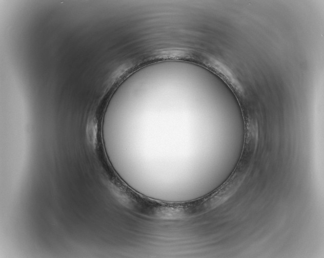 X0000116150110200911301549