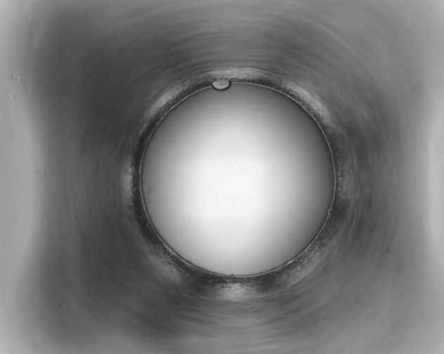 X0000116150111200911301548