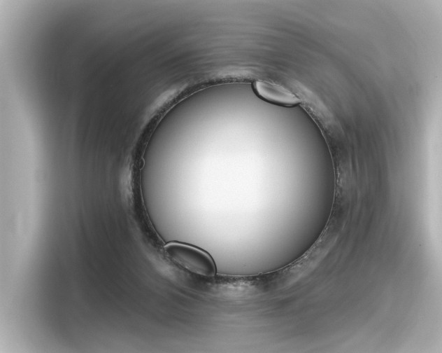 X0000116150112200911301548