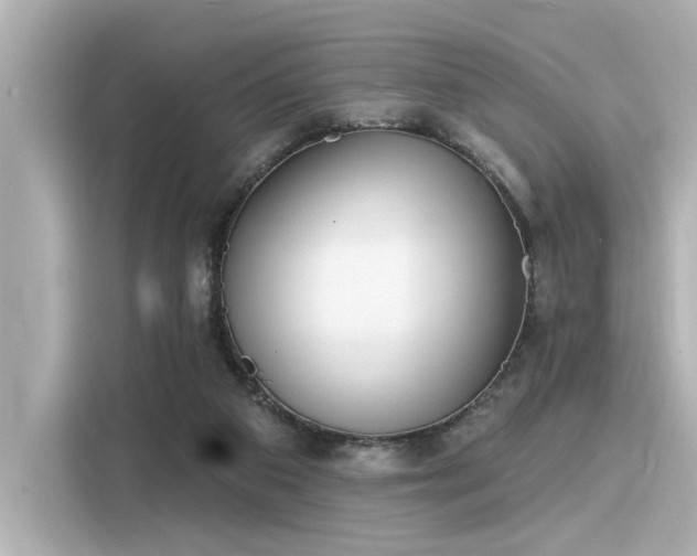 X0000116150113200911301548