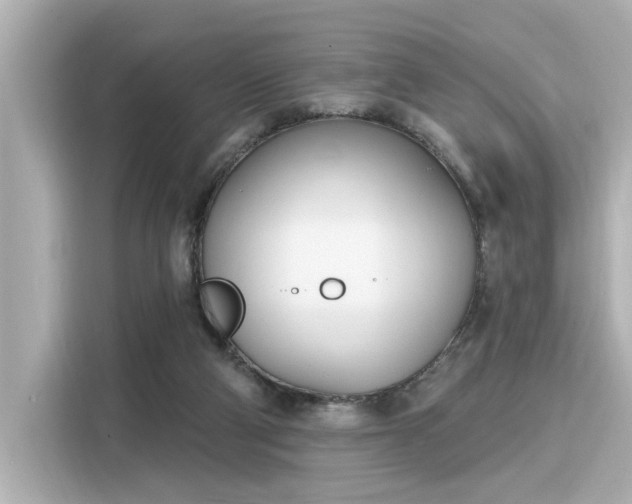 X0000116150114200911301548