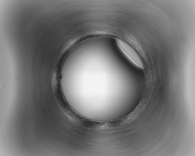 X0000116150116200911301548