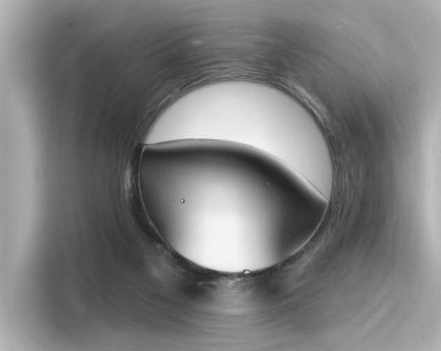 X0000116150117200911301548