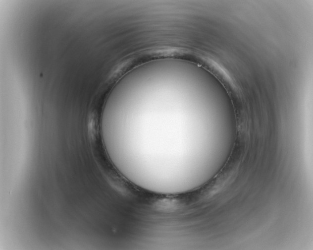 X0000116150119200911301548