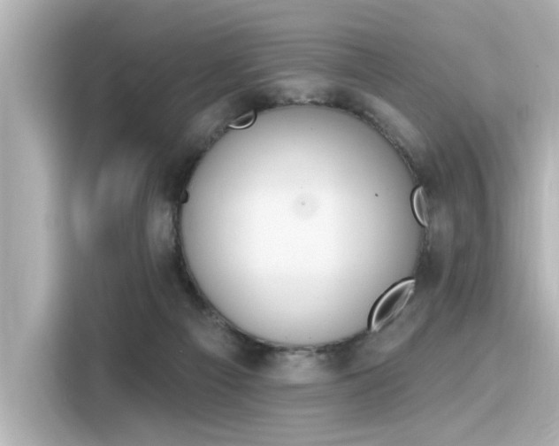 X0000116150121200911301548