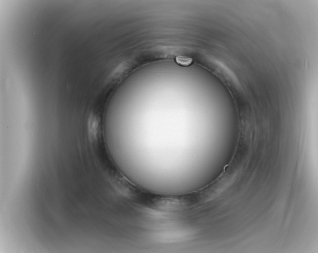 X0000116150123200911301548